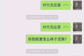 屯昌为什么选择专业追讨公司来处理您的债务纠纷？